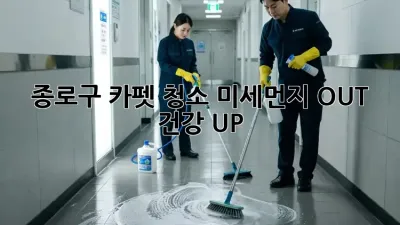 종로구 카펫 청소🧹✨: 미세먼지 OUT! 건강 UP!